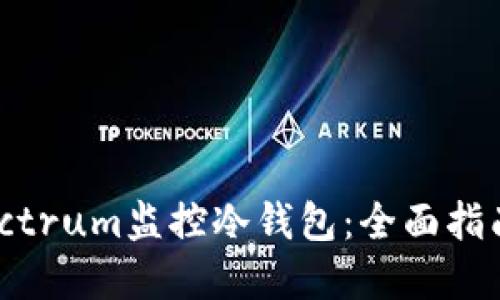 如何使用Electrum监控冷钱包：全面指南与实用技巧
