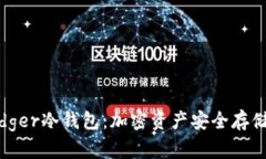 全面解析Lodger冷钱包：加密资产安全存储的最佳