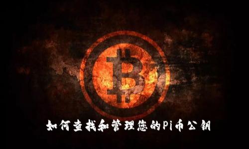  如何查找和管理您的Pi币公钥