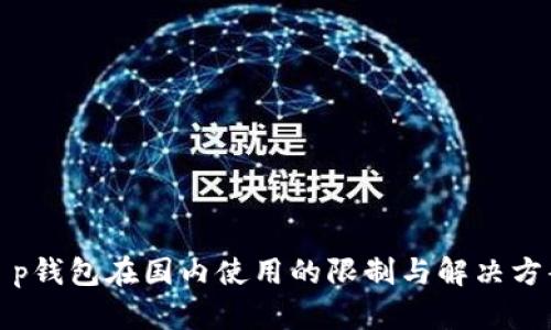 t p钱包在国内使用的限制与解决方案