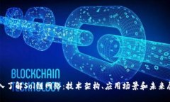 深入了解Sol链网络：技术架构、应用场景和未来