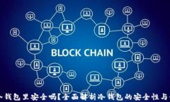钱放在冷钱包里安全吗？全面解析冷钱包的安全