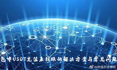 TP钱包中USDT充值未到账的解决方案与常见问题解答