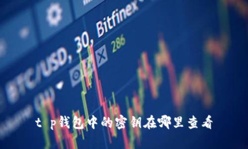 t p钱包中的密钥在哪里查看