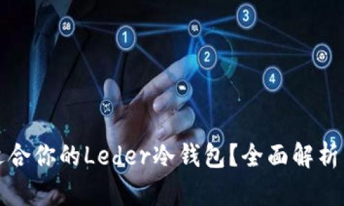 如何选择适合你的Leder冷钱包？全面解析与用户收益